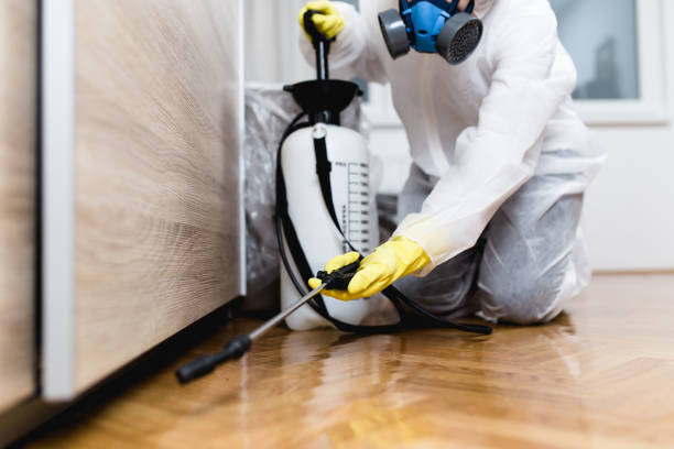 Best Pest Removal Services  in Spanish Fork, UT