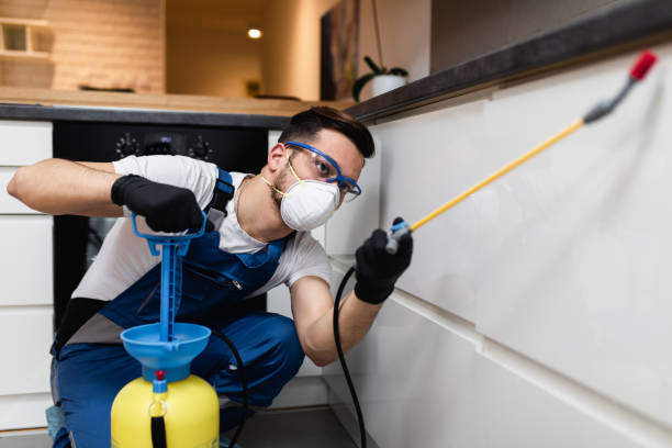Best Mosquito Control Services  in Spanish Fork, UT