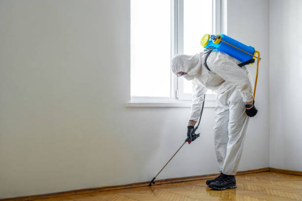Best Rat Extermination Near Me  in Spanish Fork, UT