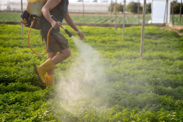 Best Best Pest Control Companies  in Spanish Fork, UT
