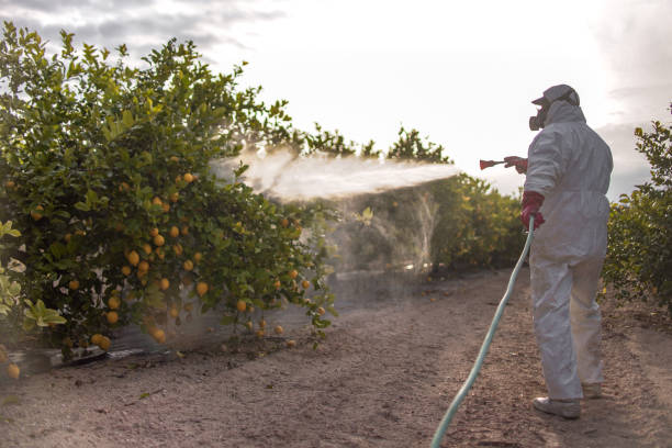 Best Residential Pest Control  in Spanish Fork, UT