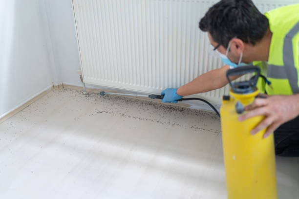 Best Commercial Pest Control Services  in Spanish Fork, UT