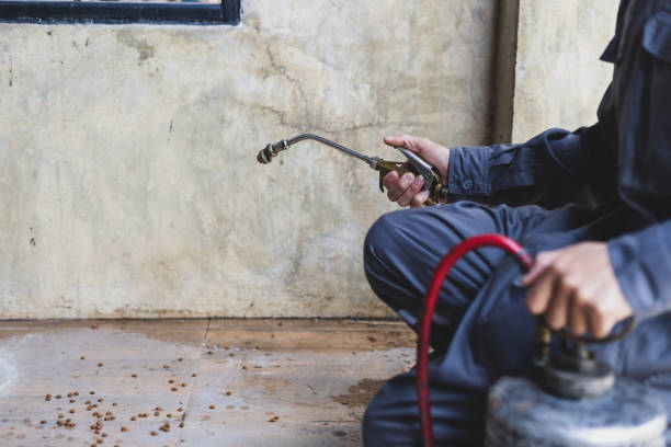 Reliable Spanish Fork, UT Pest Control Solutions