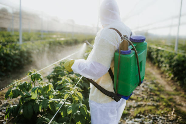 Best Mosquito Control Services  in Spanish Fork, UT